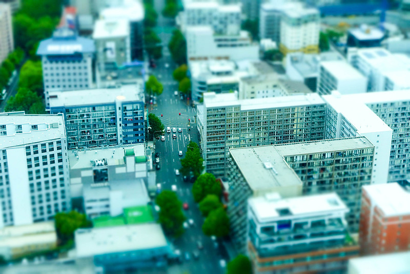 DSC05876