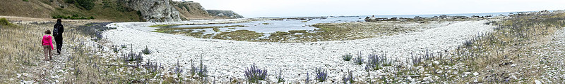 DSC03764