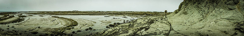 DSC03666