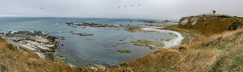 DSC03720
