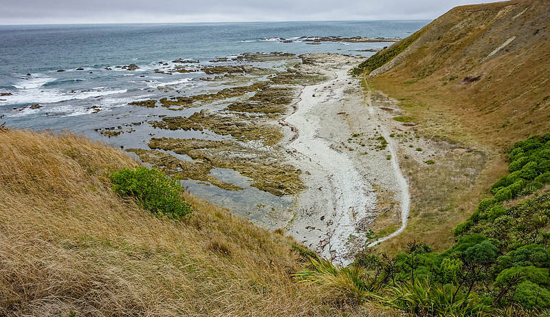 DSC03697
