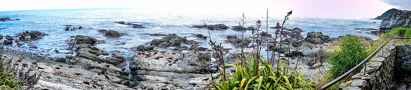 DSC_3119-Pano