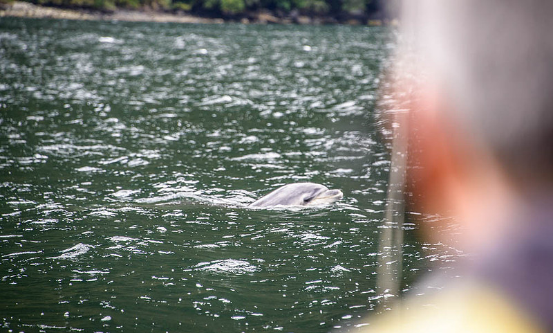 DSC_0654-2