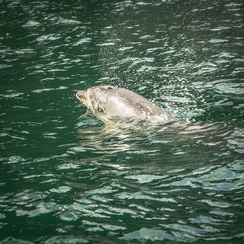 DSC_0694-2